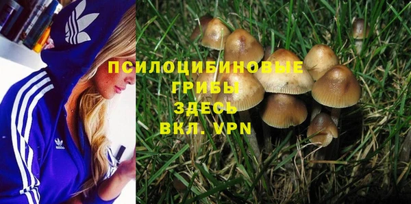 альфа пвп Баксан